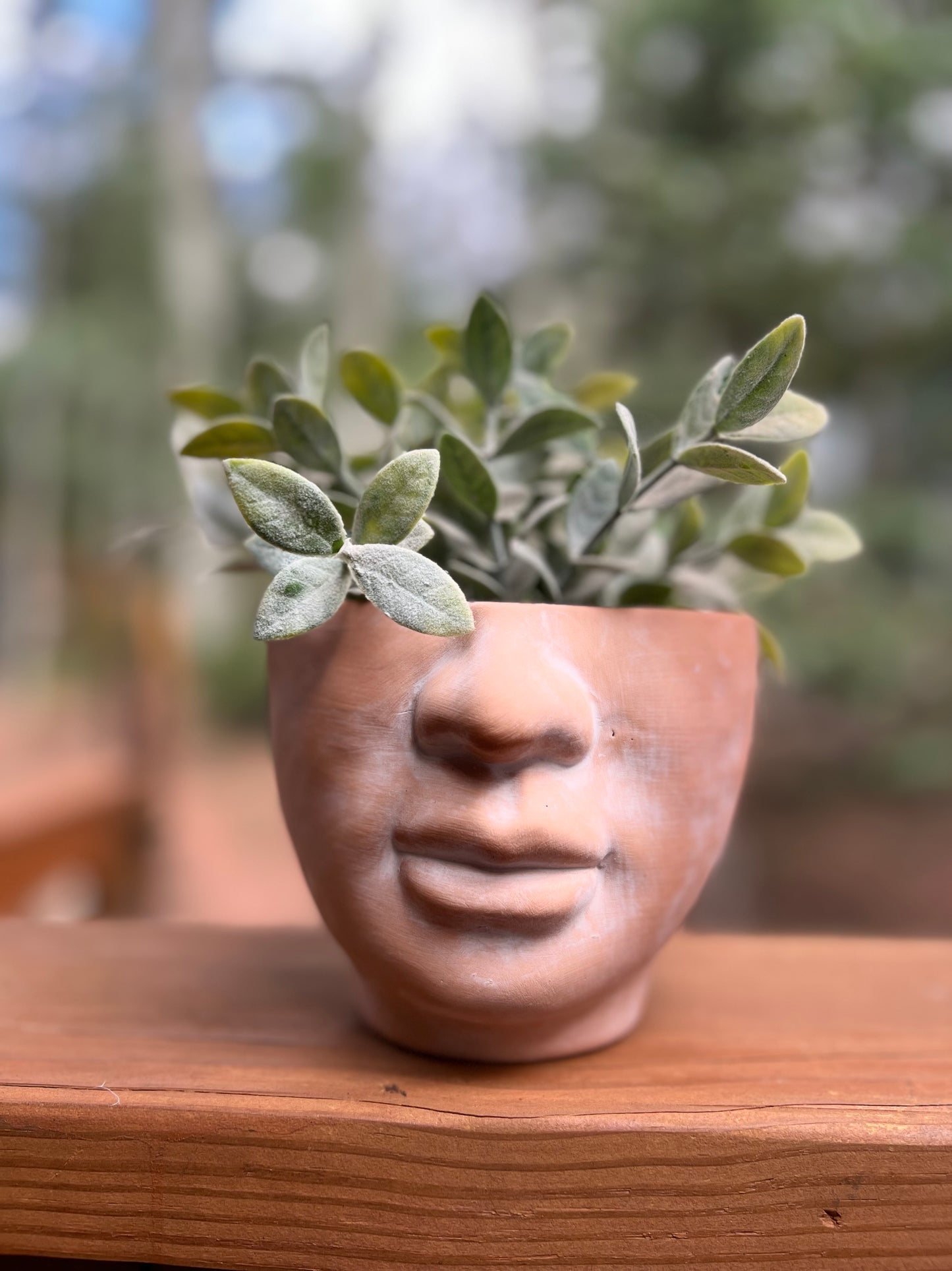 Face, Fist, Butt, Boobies | Bundle of 4 Body Terracotta Planters