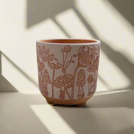 3" Terracotta Mushroom Planter - Succulent