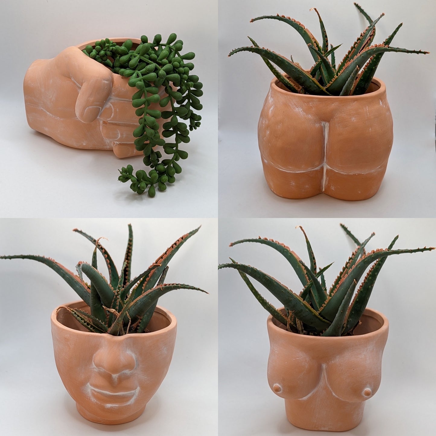 Face, Fist, Butt, Boobies | Bundle of 4 Body Terracotta Planters