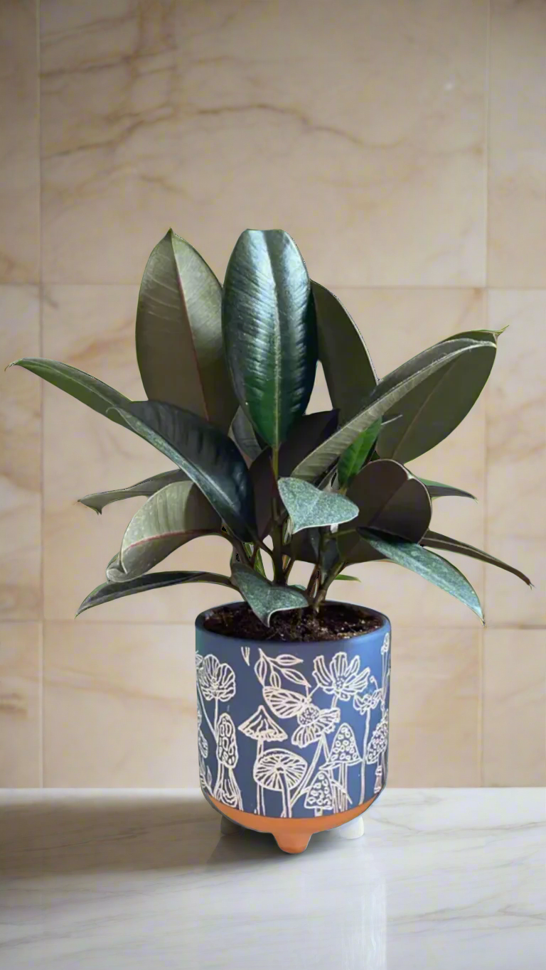 etched mushrooms terracotta planter