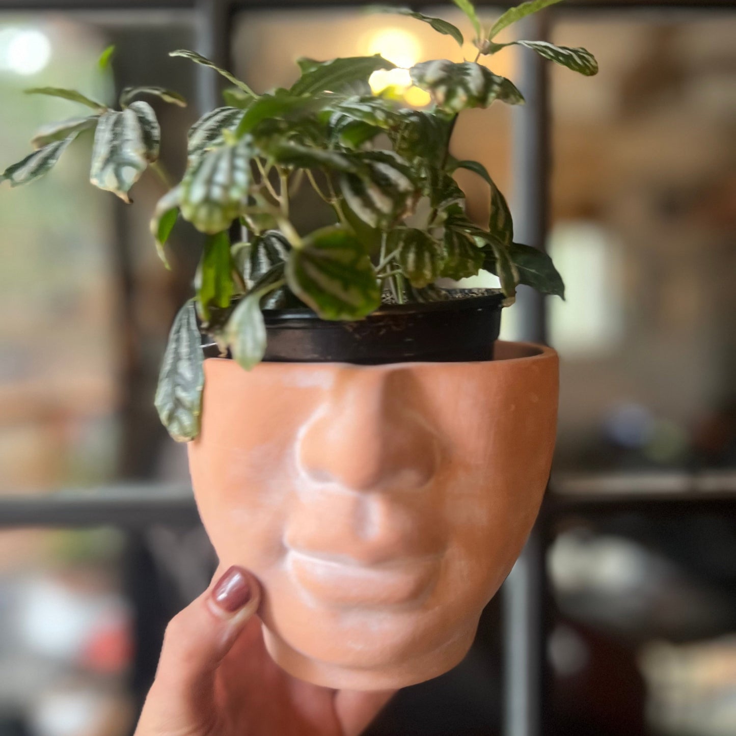 5" face terracotta planter