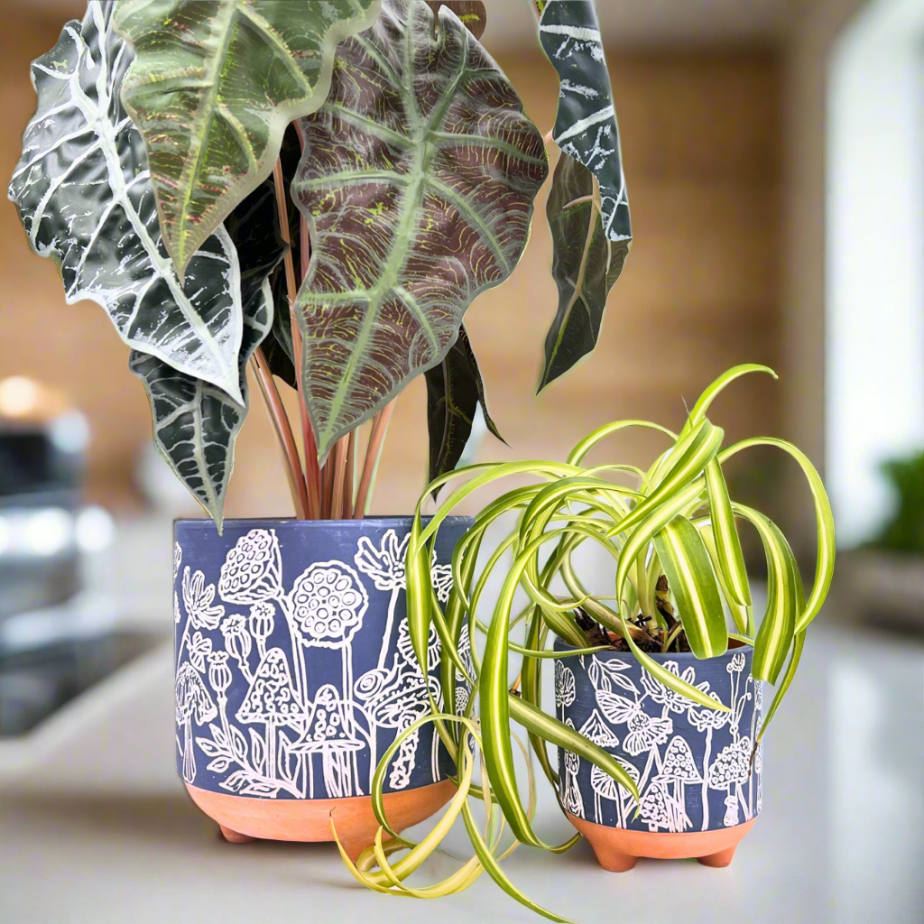 etched mushrooms terracotta planter