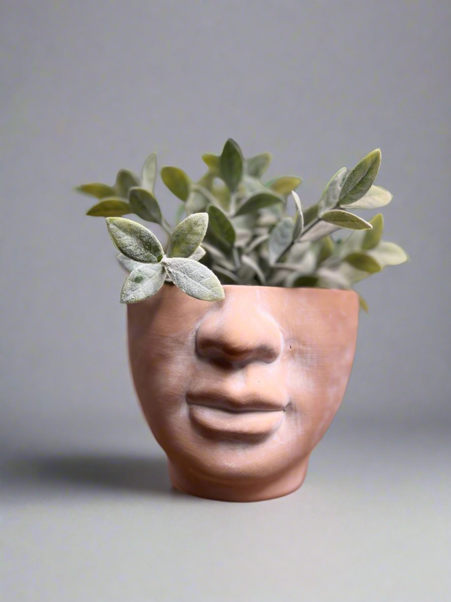 Face, Fist, Butt, Boobies | Bundle of 4 Body Terracotta Planters