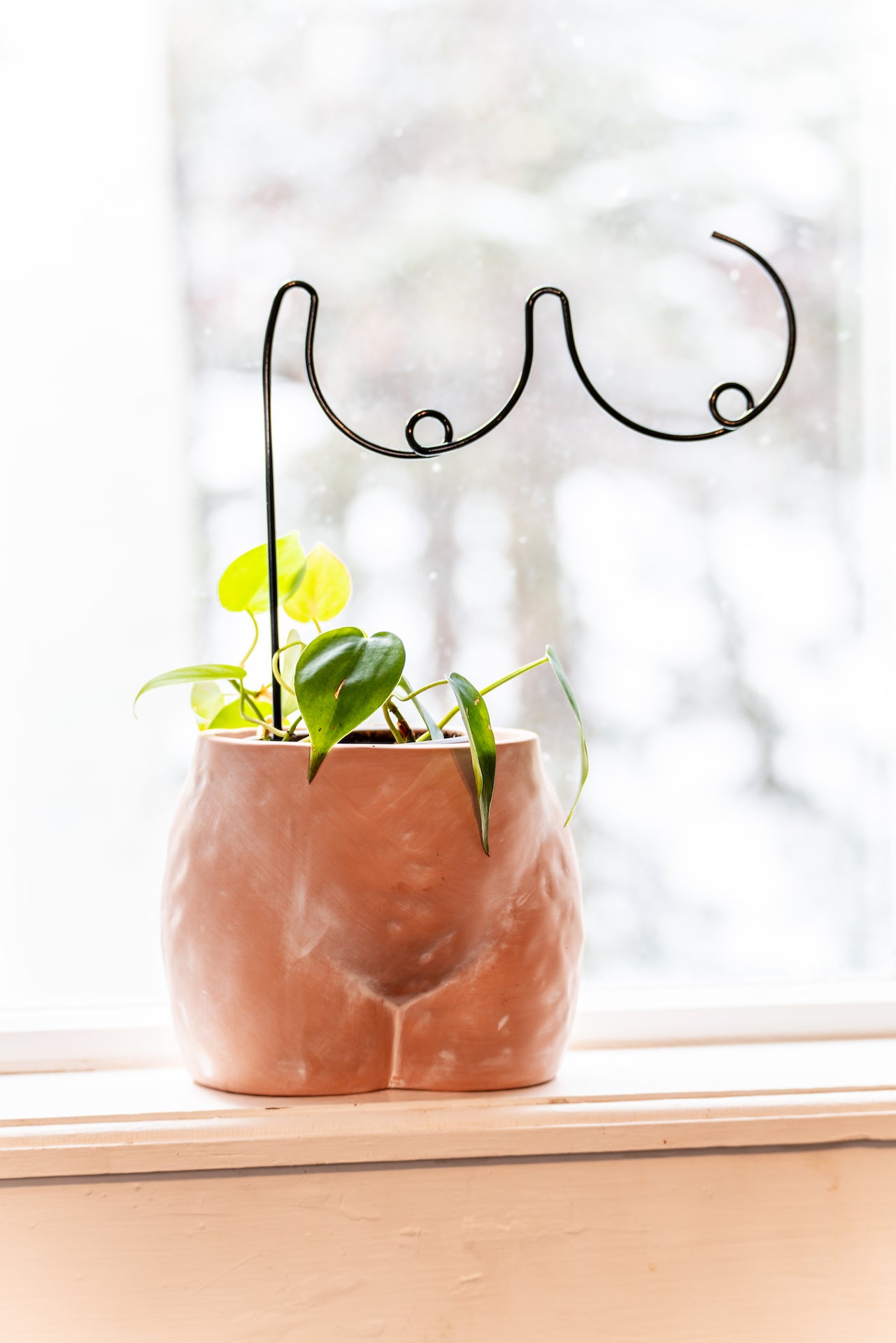 hanging plant trellis Trellis for Houseplants, Boobies Design, Funny Plant Person Gift – Simply Supplied Co