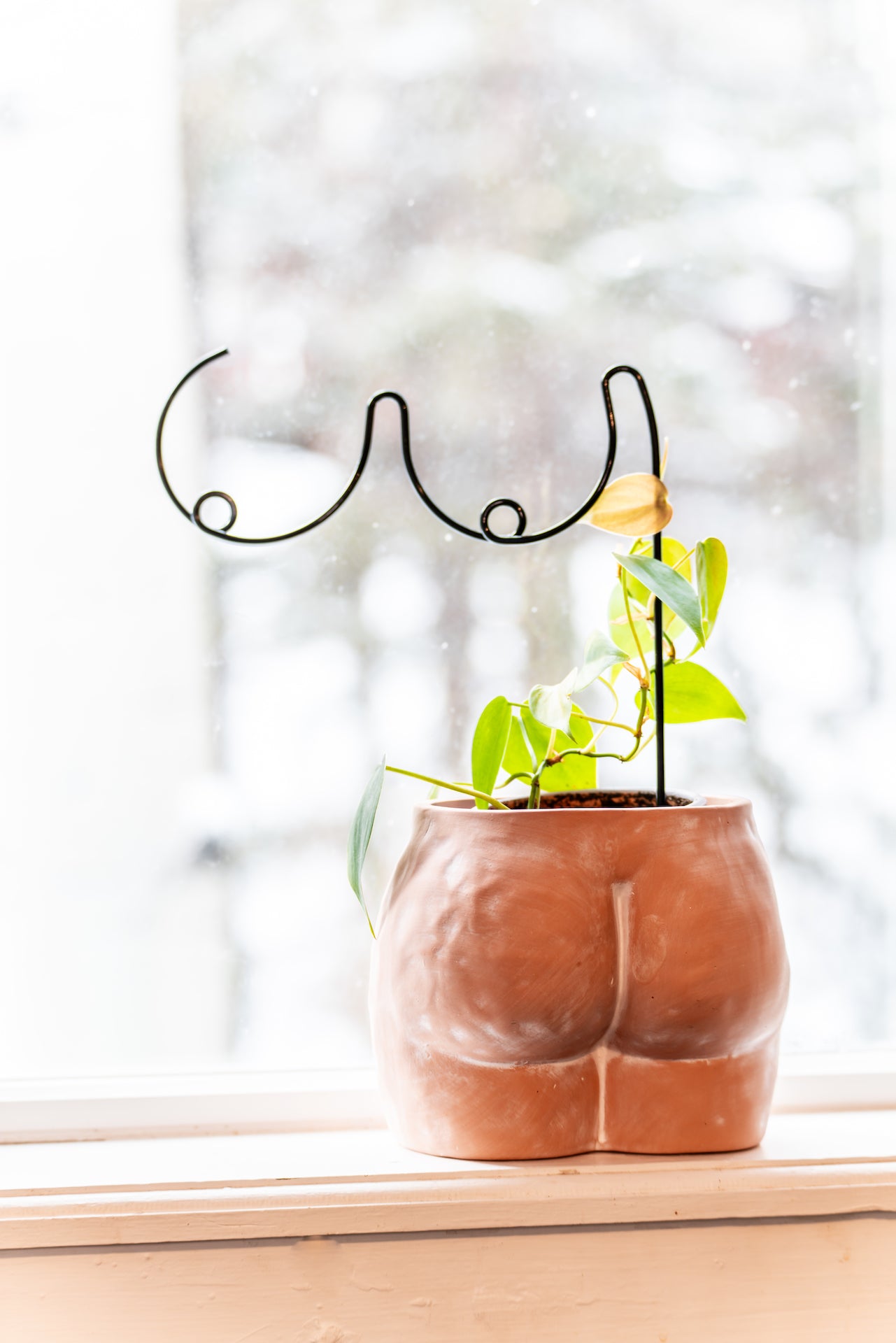 Trellis for Houseplants, Boobies Design, Funny Plant Person Gift