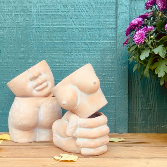 Face, Fist, Butt, Boobies | Bundle of 4 Body Terracotta Planters