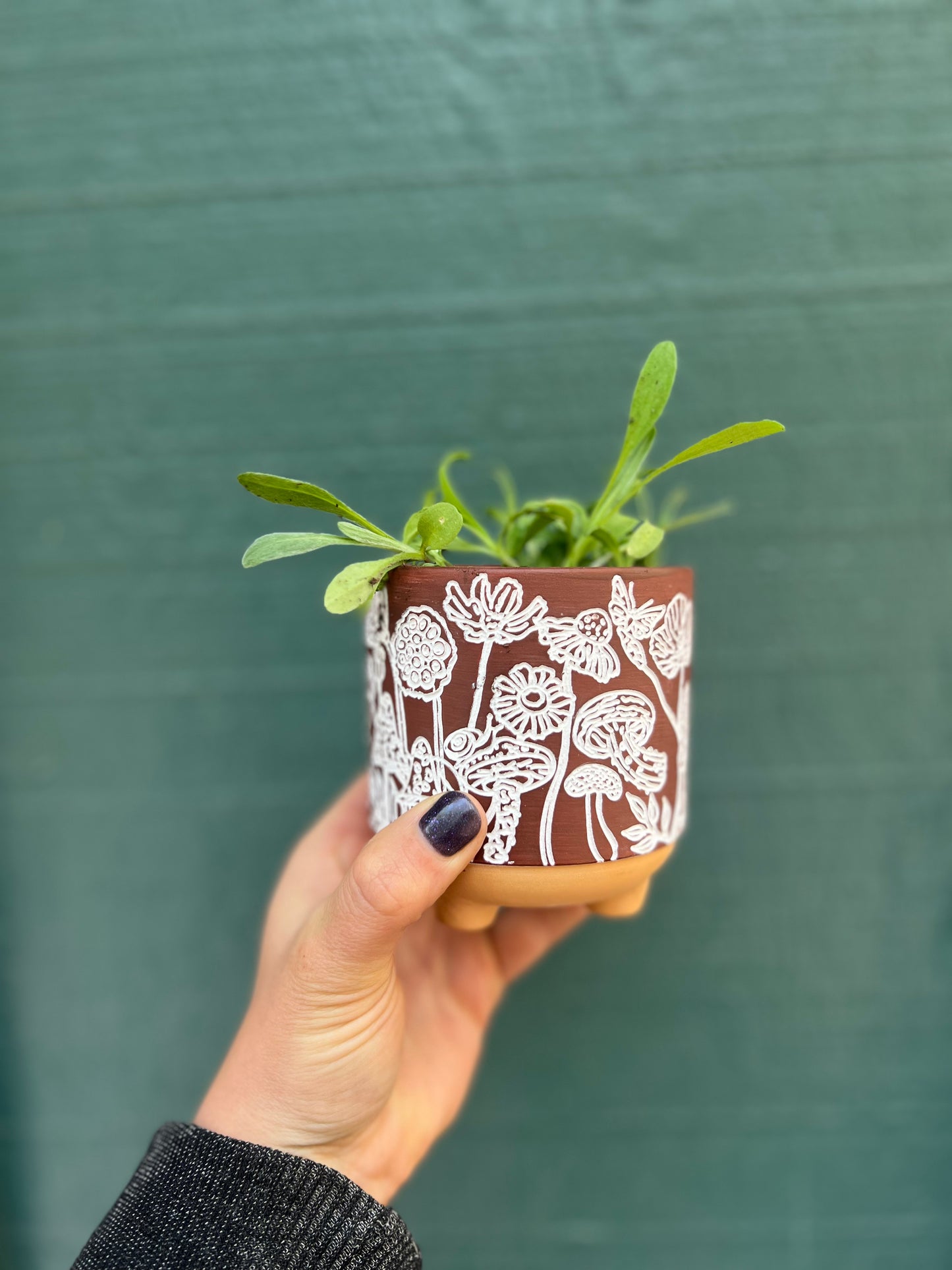 3" Terracotta Mushroom Planter - Succulent