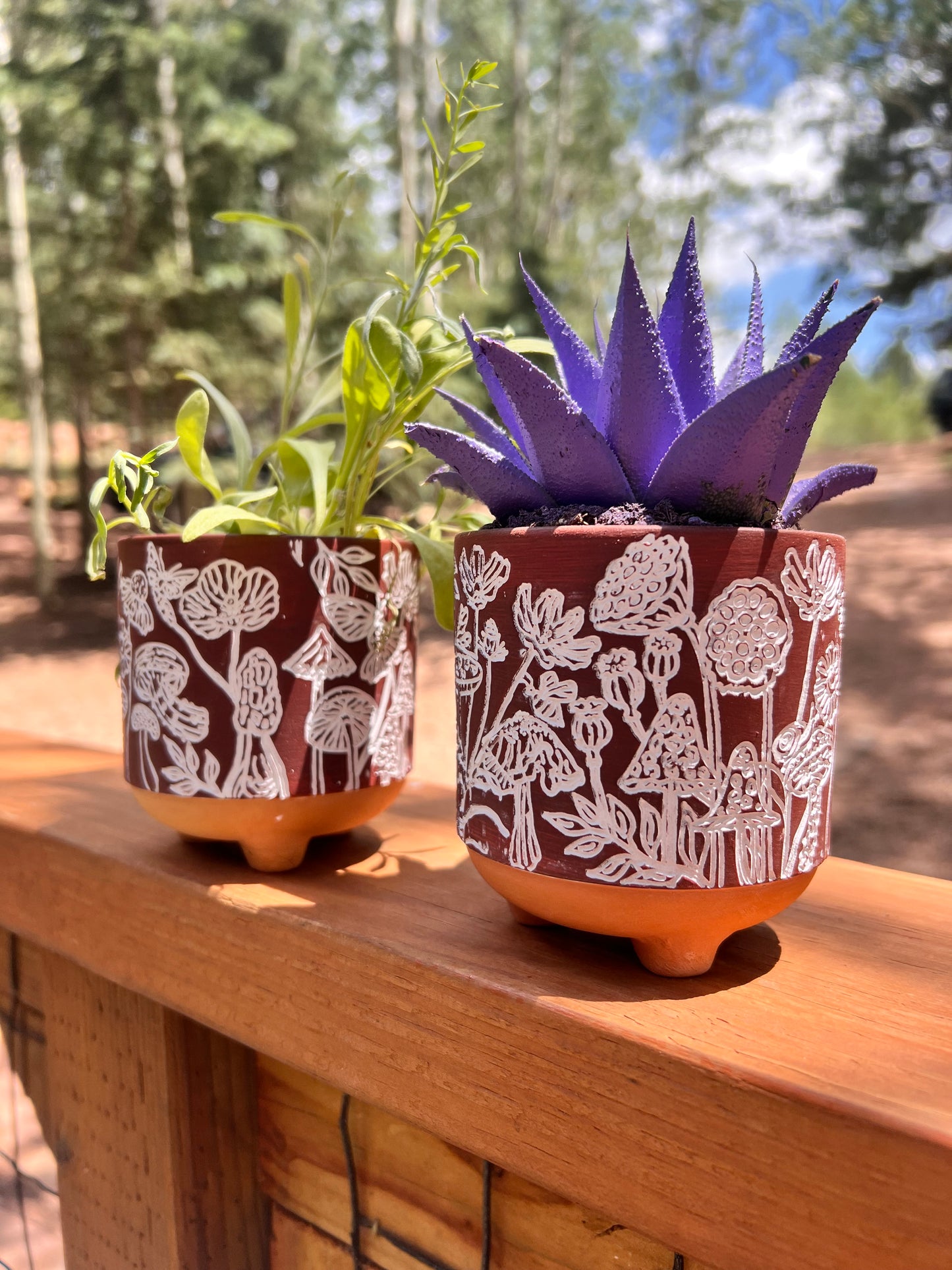 3" Terracotta Mushroom Planter - Succulent