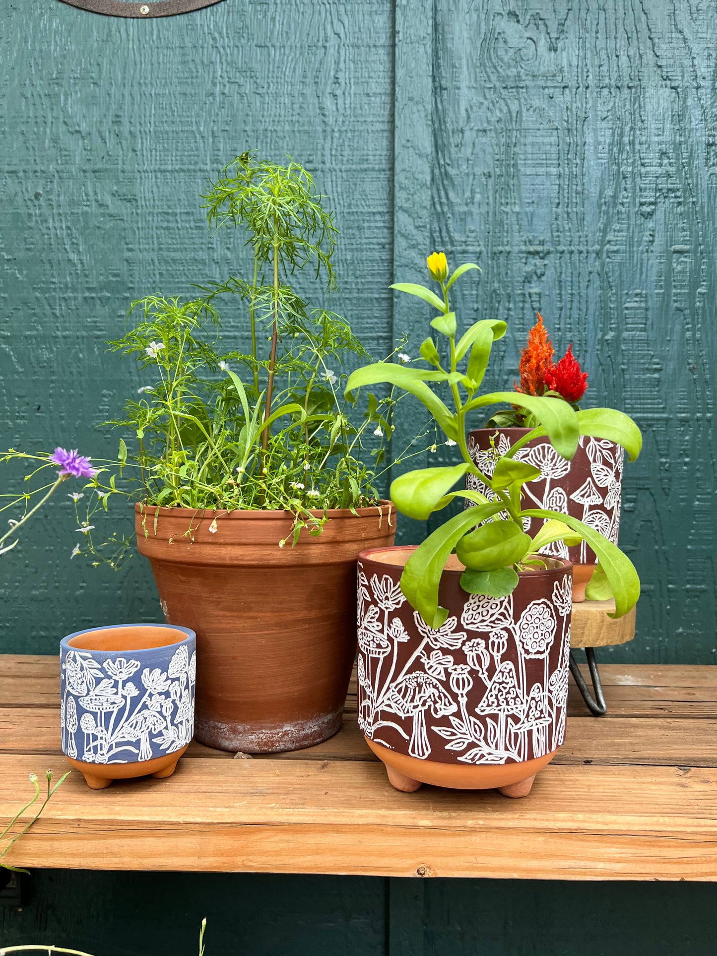 3" Terracotta Mushroom Planter - Succulent