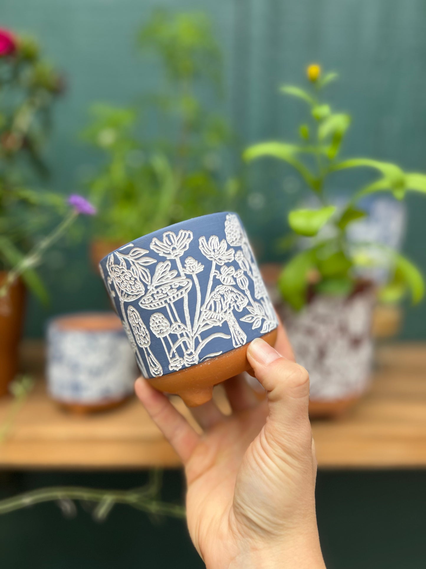 3" Terracotta Mushroom Planter - Succulent