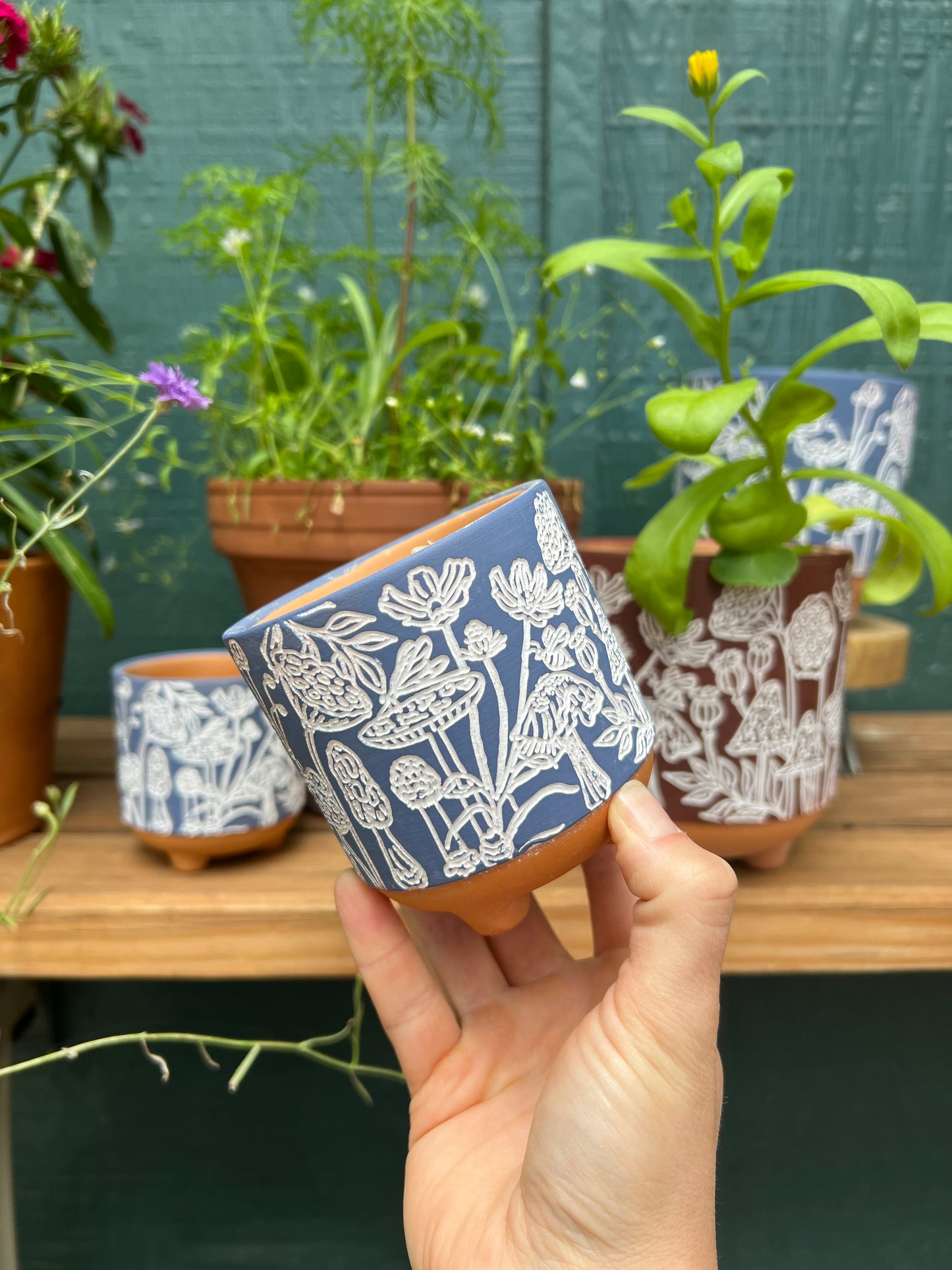 3" Terracotta Mushroom Planter - Succulent