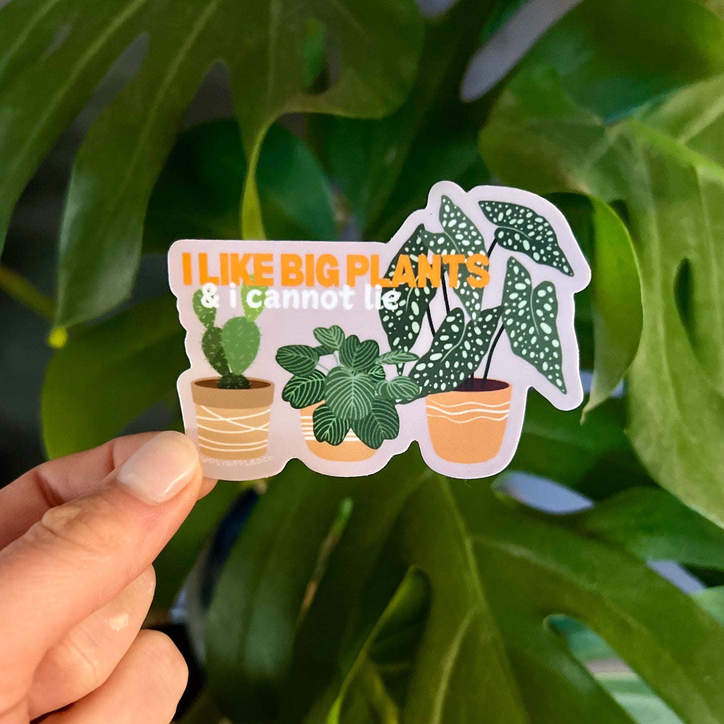 "I Like Big Plants & I cannot Lie" Sticker