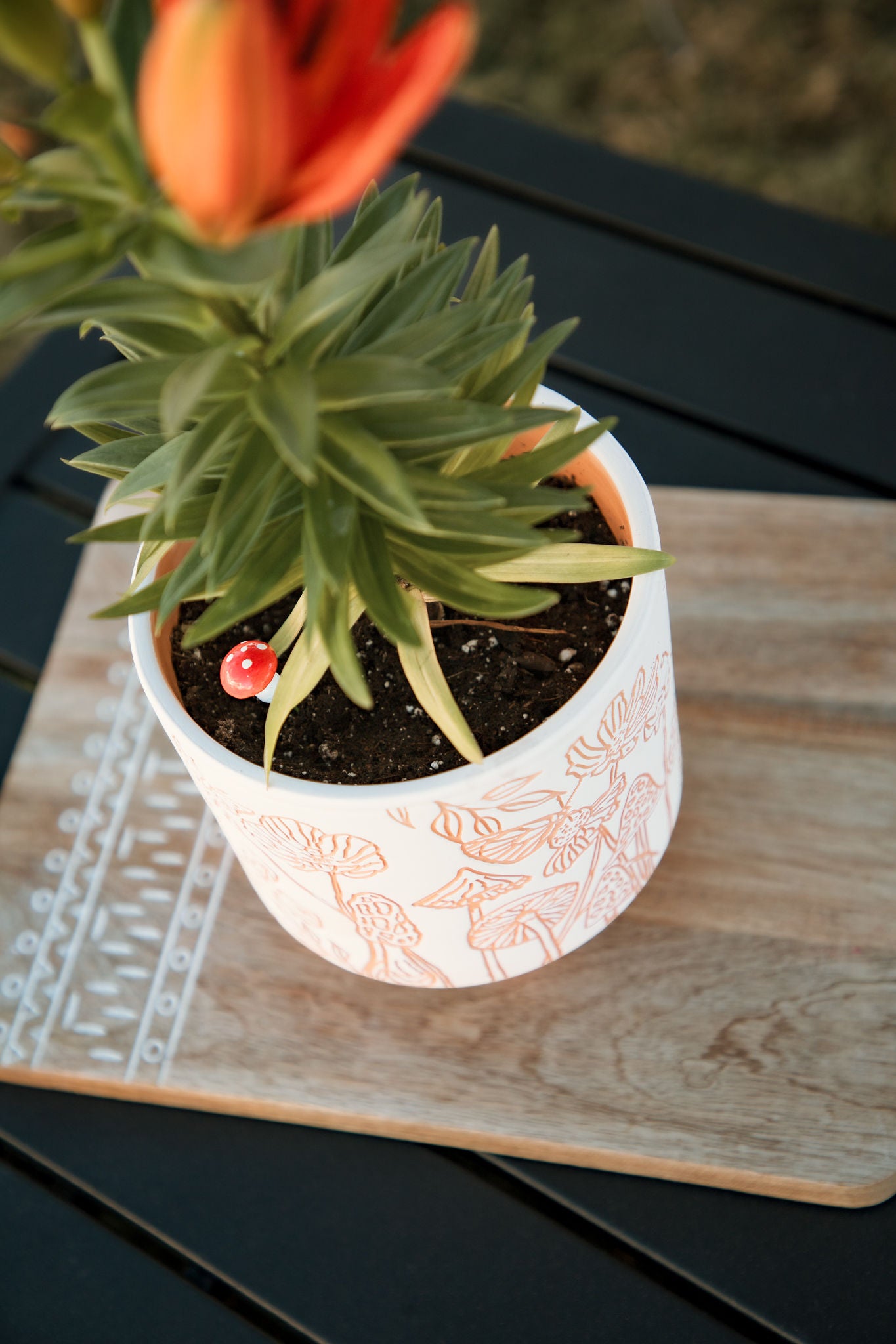 engraved mushrooms terracotta planter