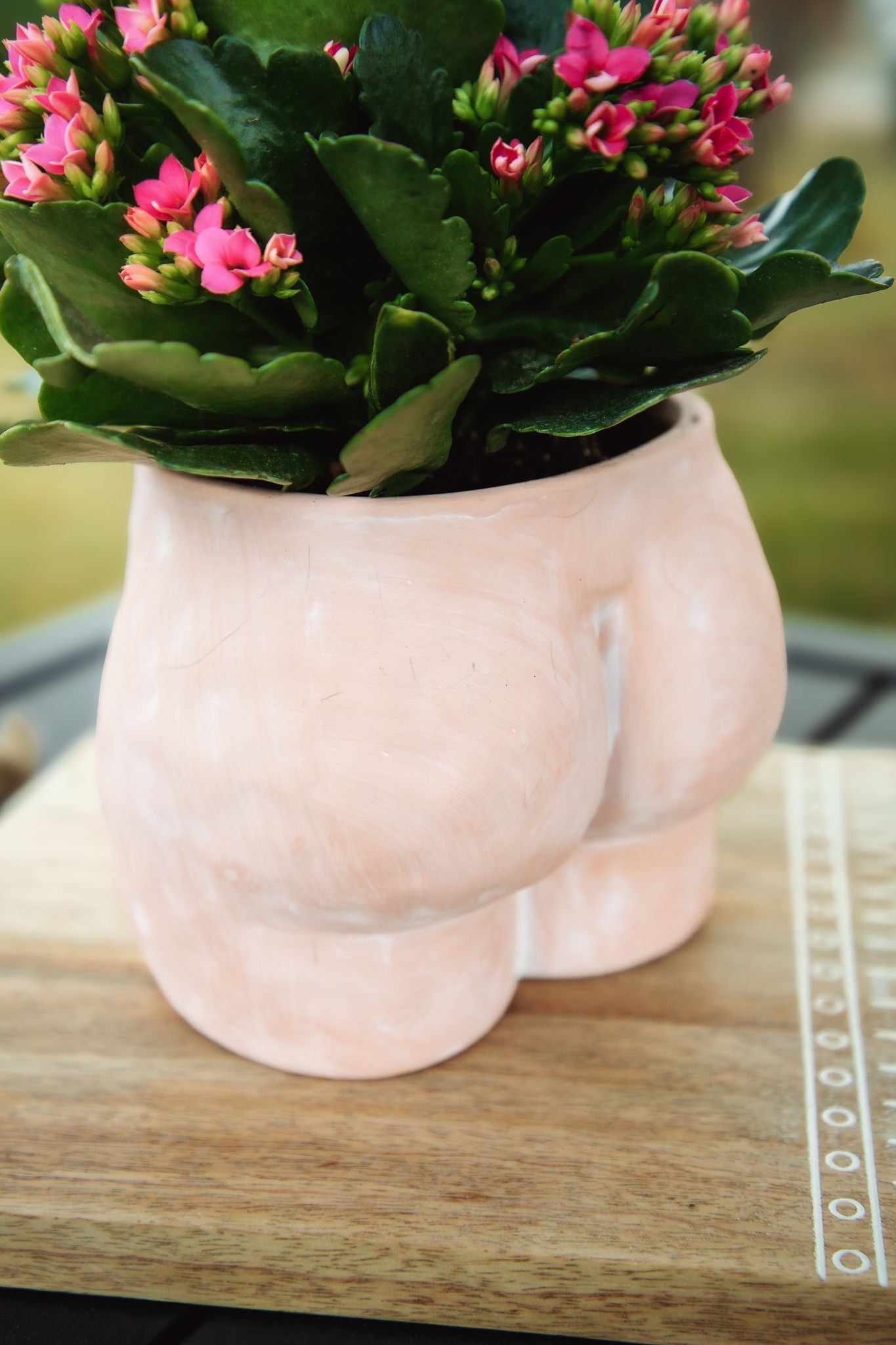 6" butt terracotta planter