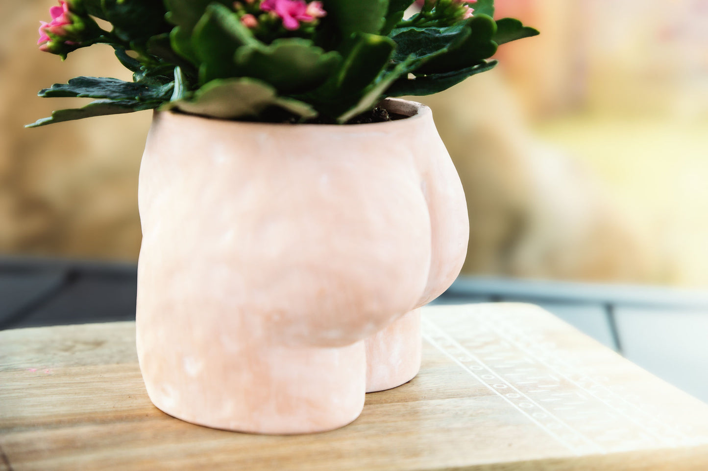 6" butt terracotta planter