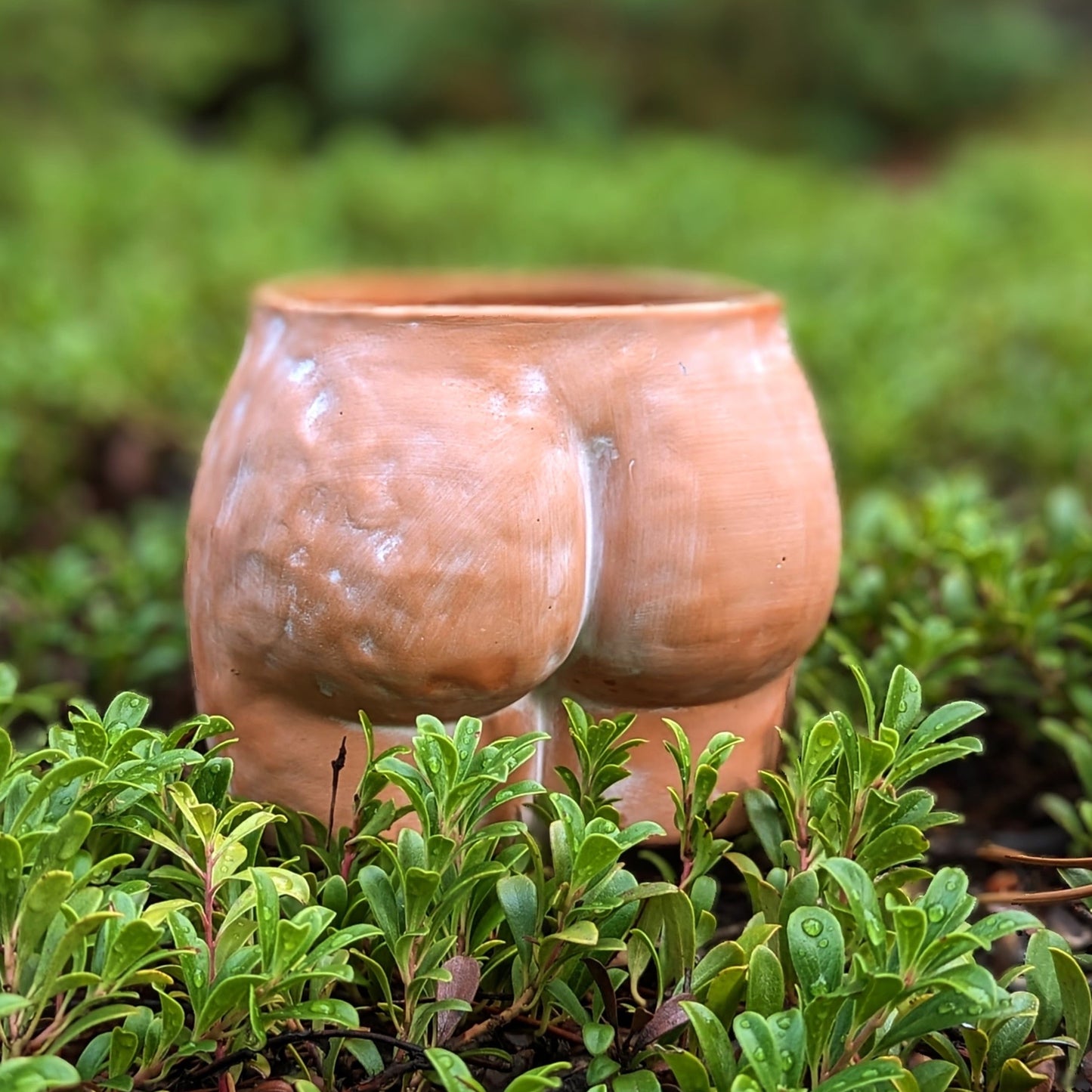 6" butt terracotta planter