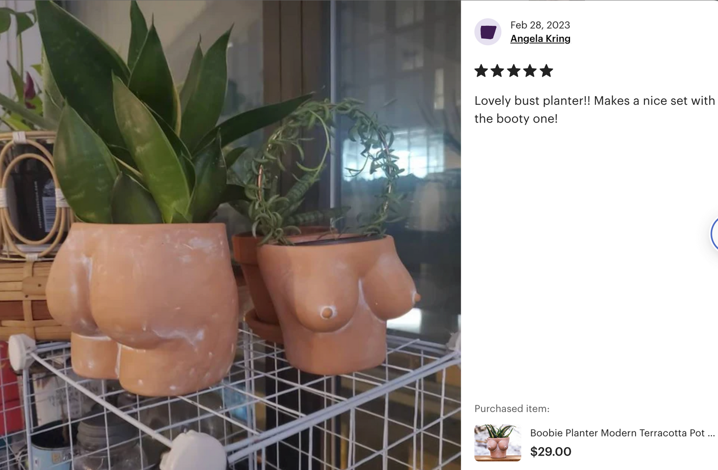 Butt + Boobies | Set of 2 Terracotta Planters