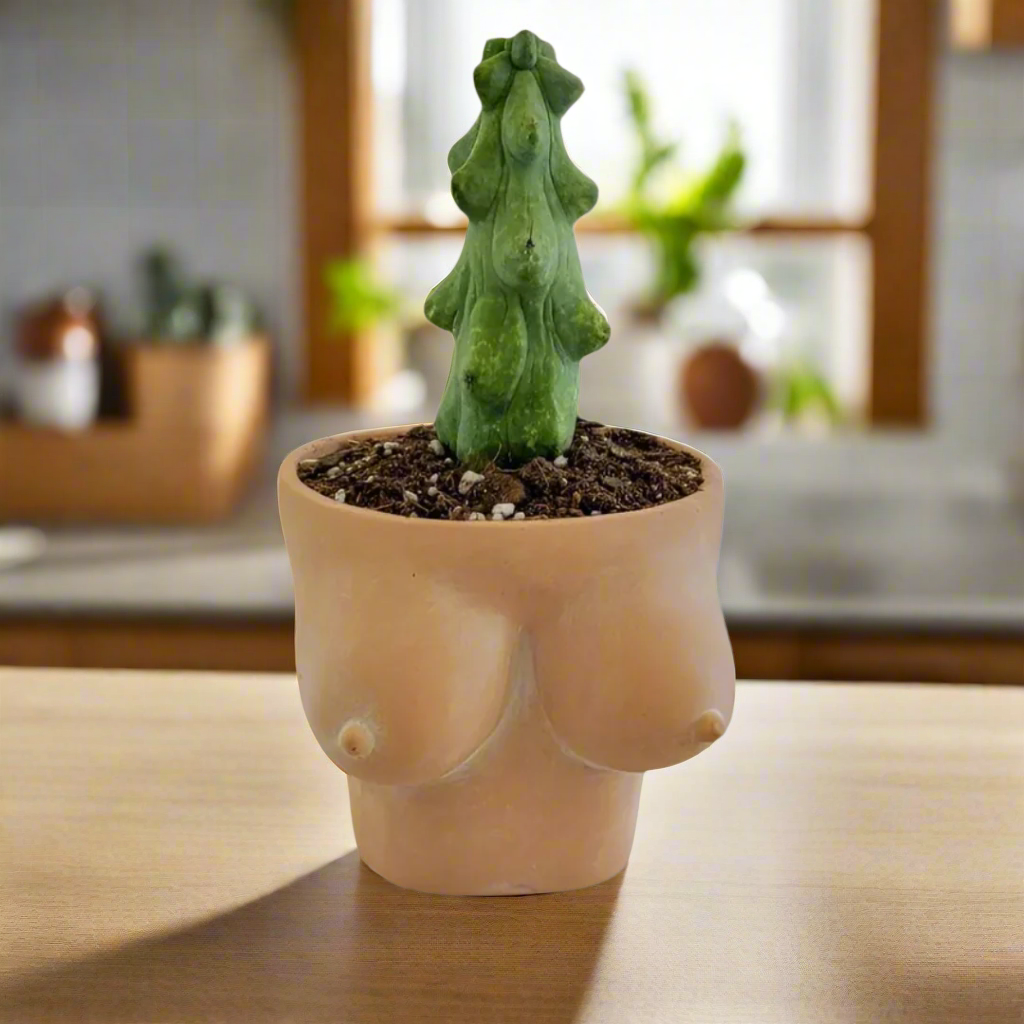 5" terracotta boobies planter