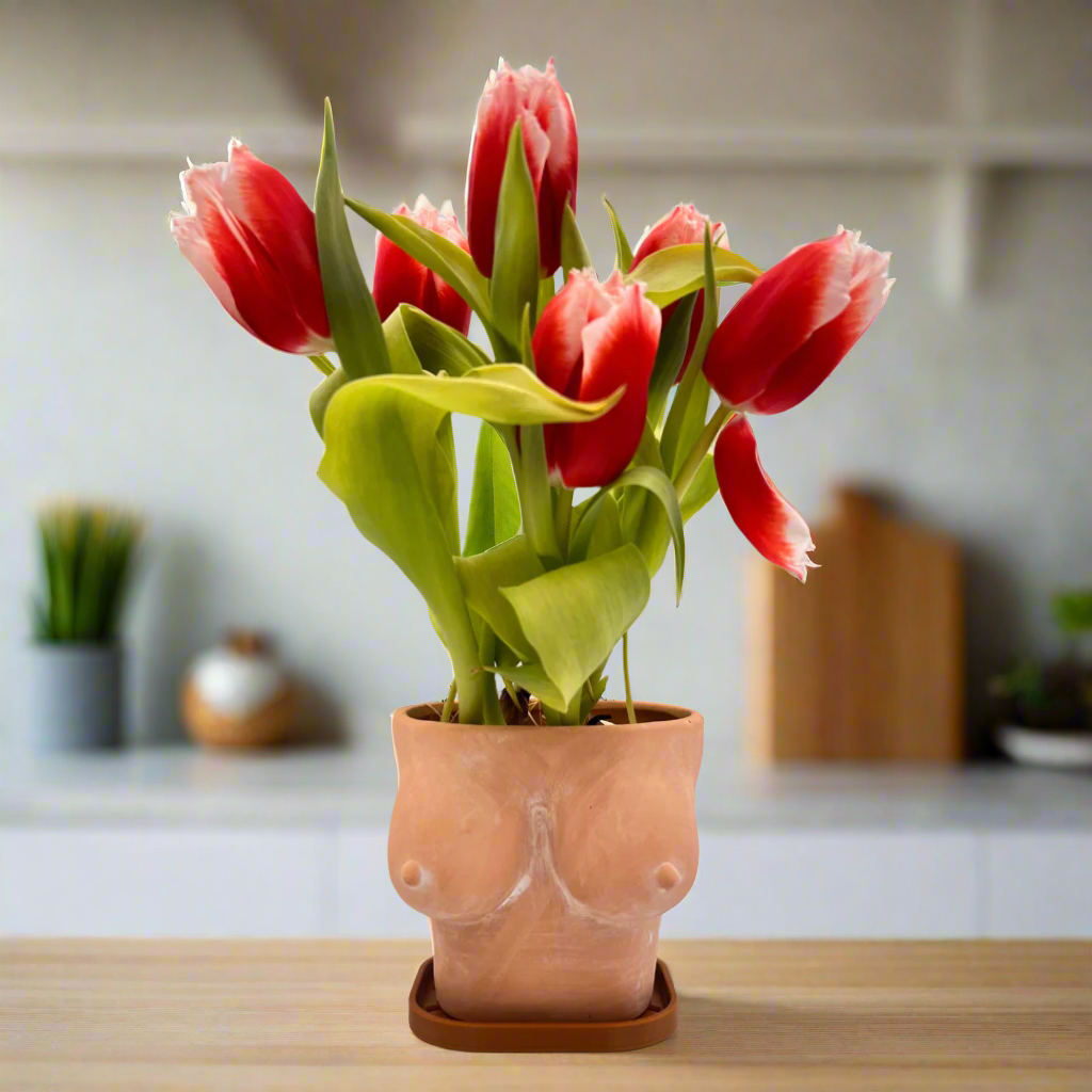 5" terracotta boobies planter