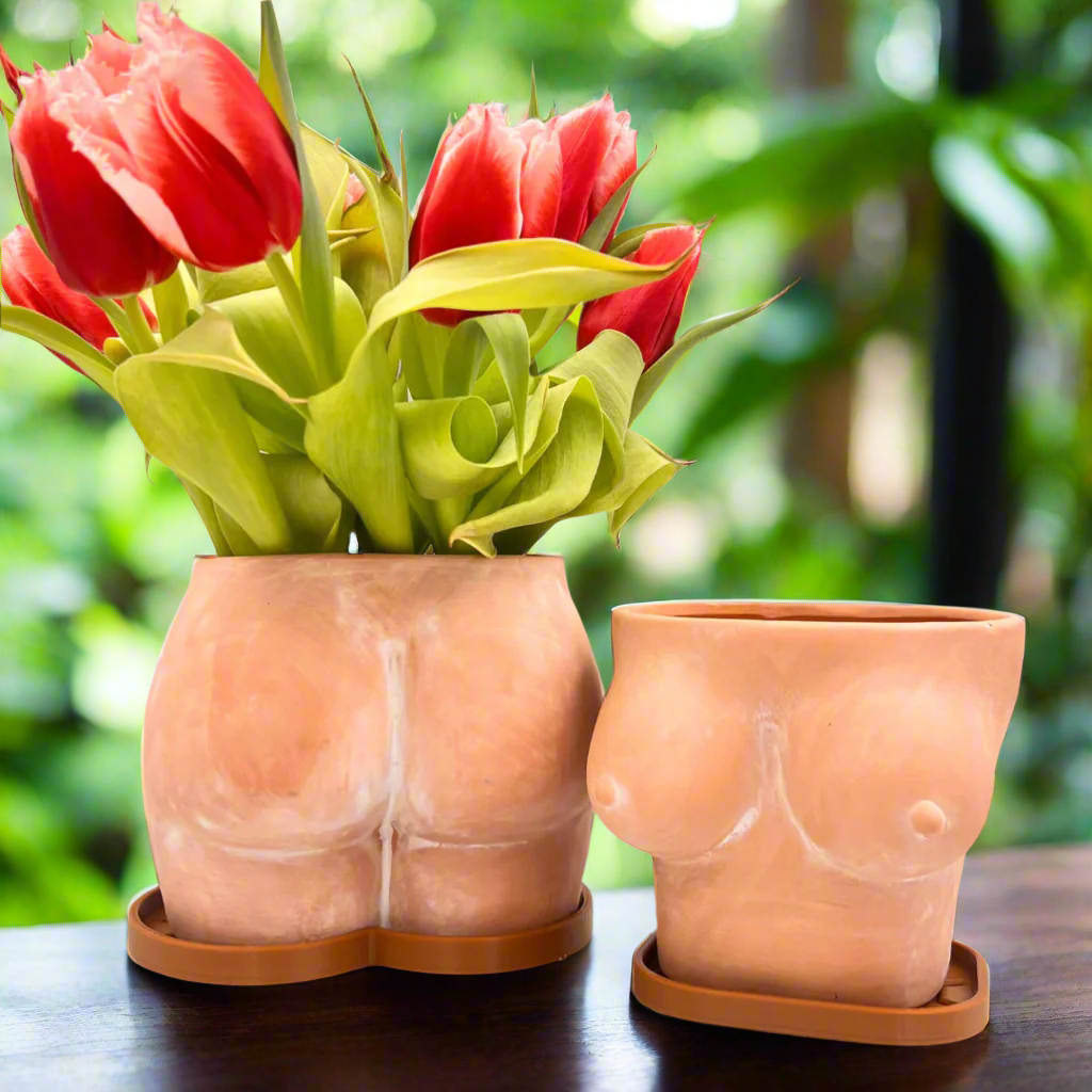 6" butt terracotta planter
