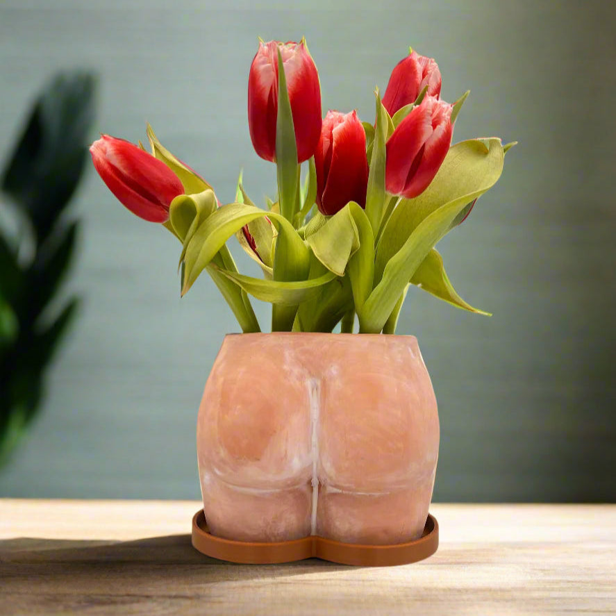 terracotta planter pot in the shape of a ass