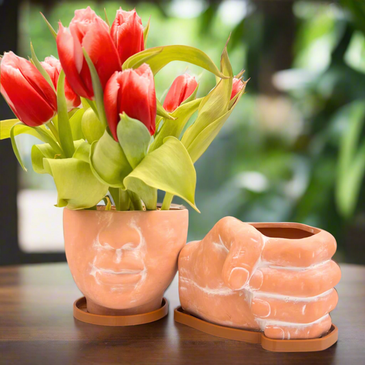 Face + Fist Bundle | Set of 2 Terracotta Planters