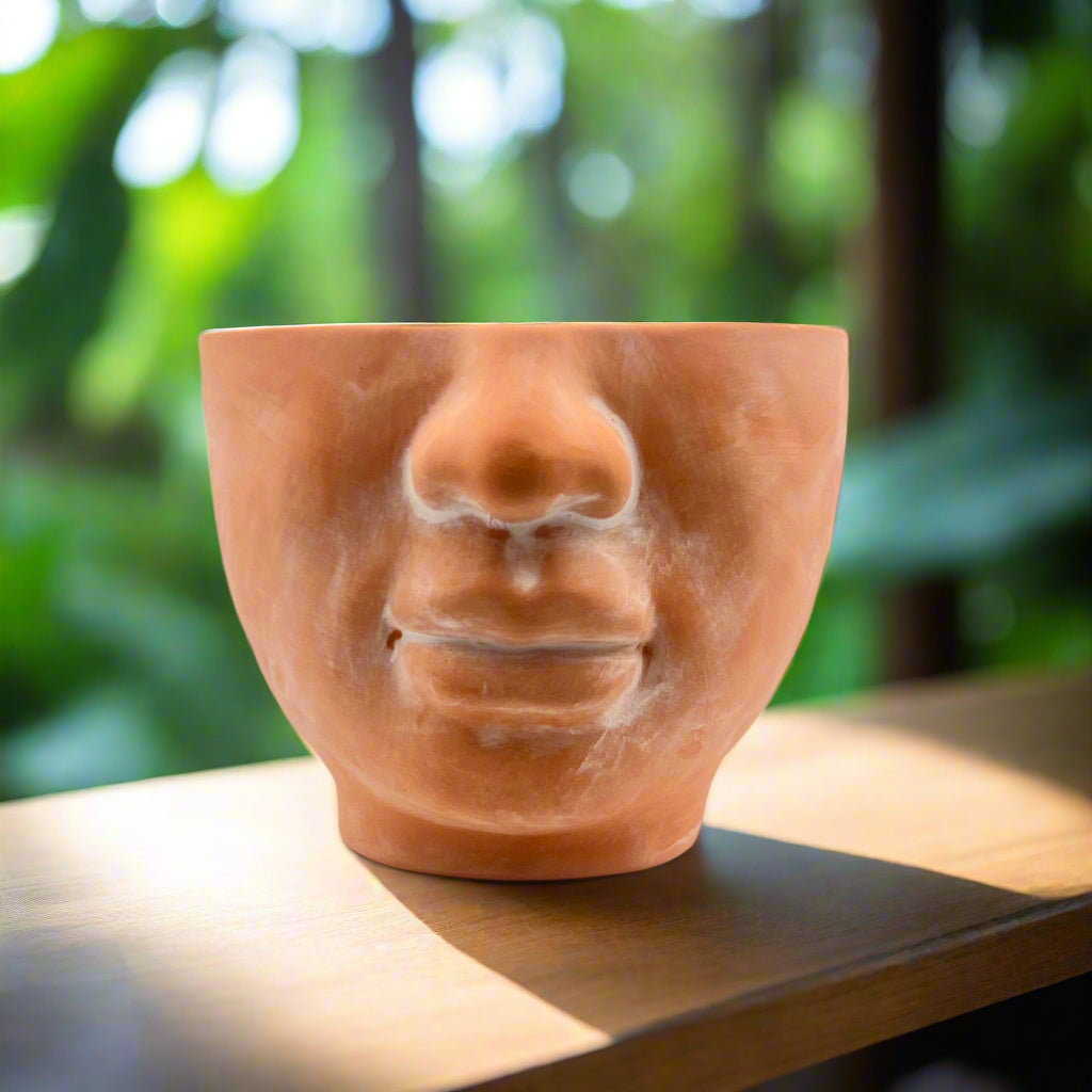 terracotta planter pot in the shape of a face