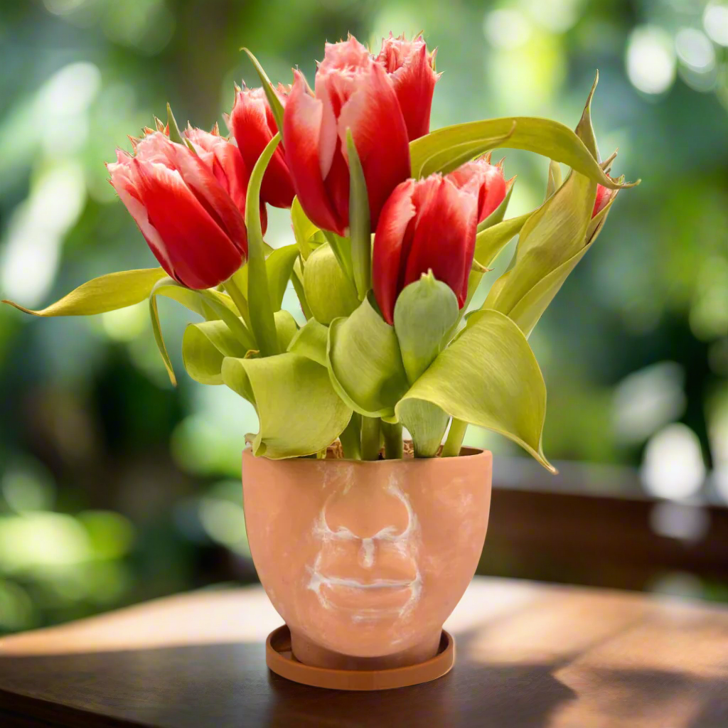 5" face terracotta planter