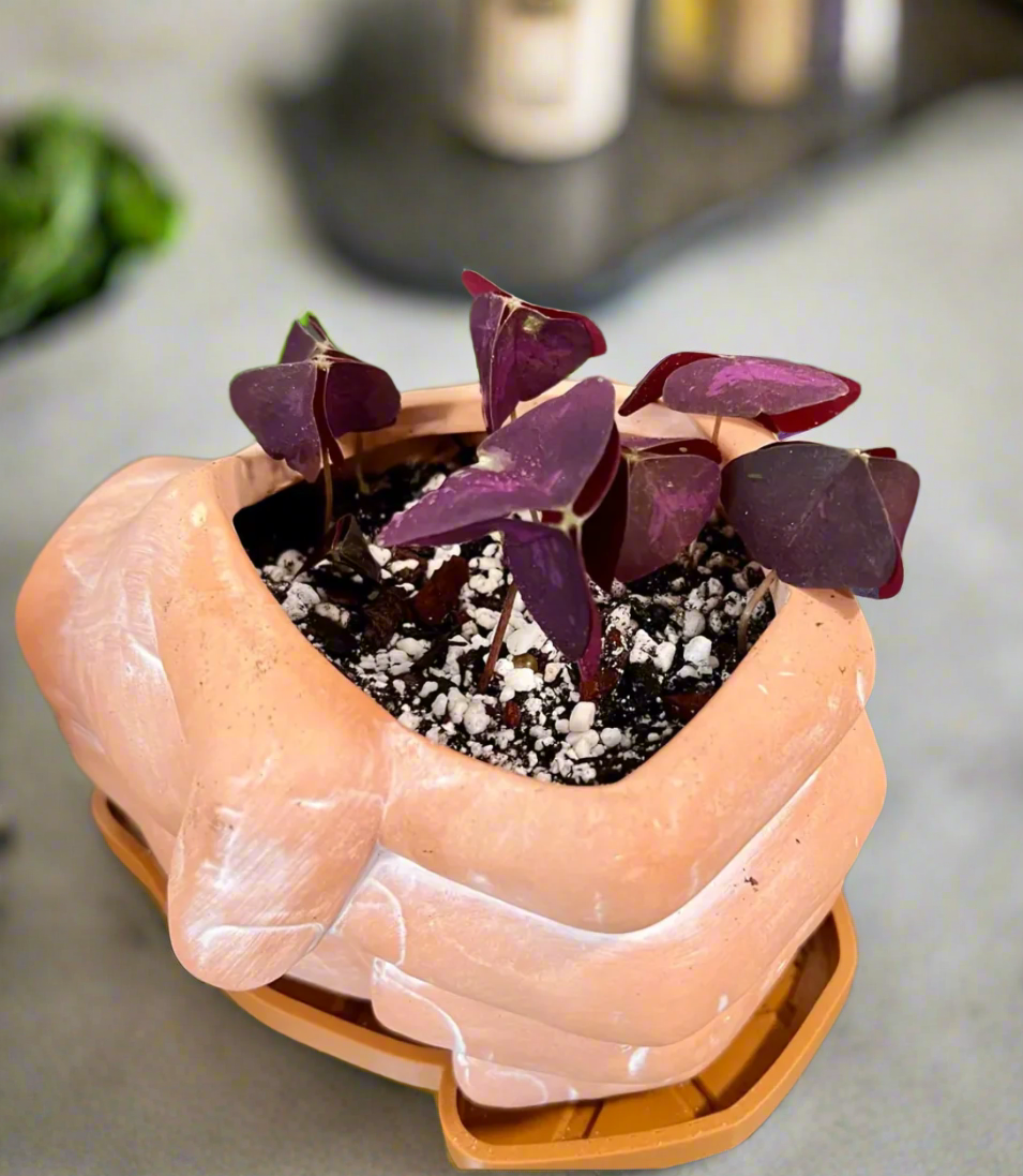 6" Handful - natural terracotta planter