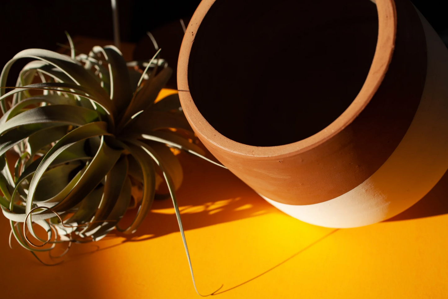 Ponder Pot - Oversized and Mini Sizes - Modern Terracotta