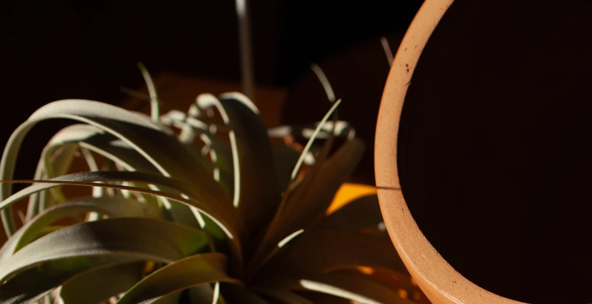 Ponder Pot - Oversized and Mini Sizes - Modern Terracotta