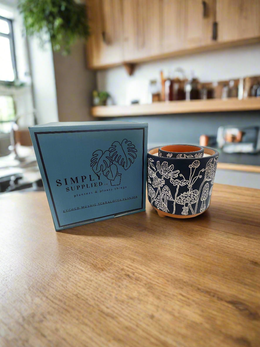 etched mushrooms terracotta planter