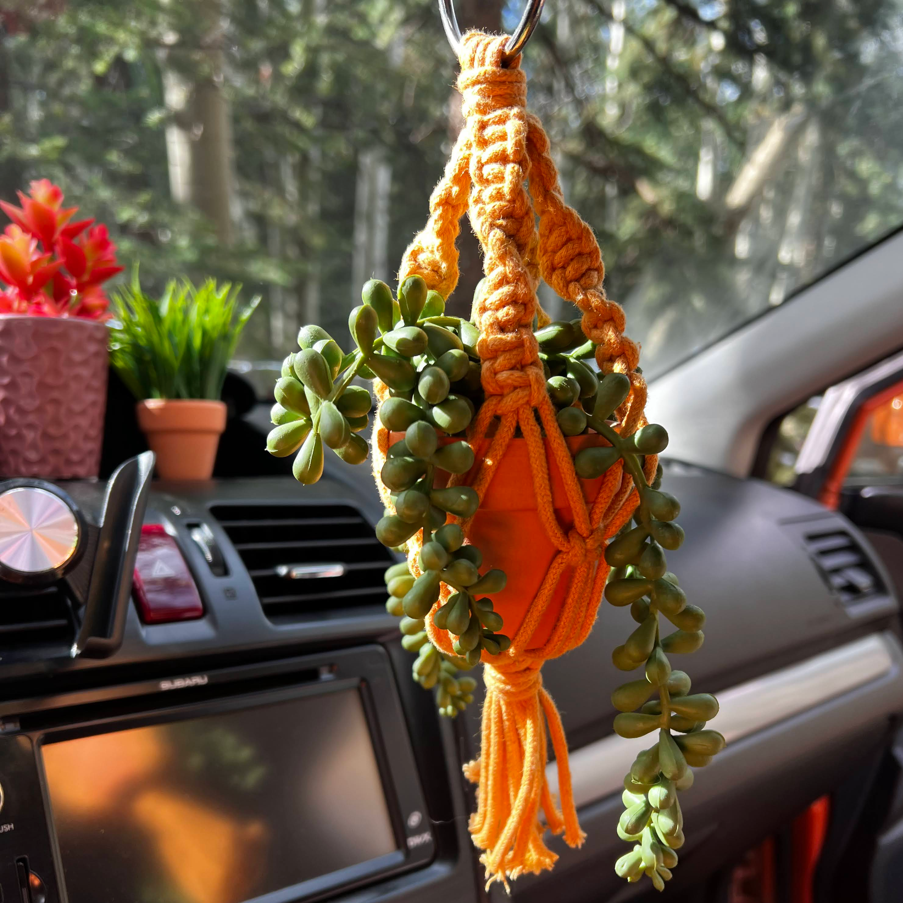 Plant car hanger deals