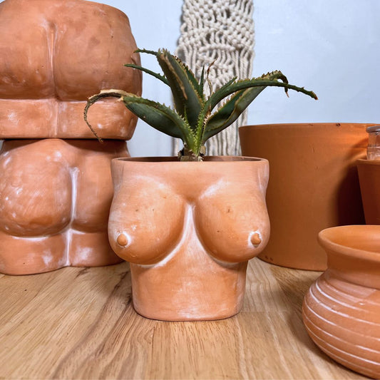 Butt & Boobies Duo Terracotta Planters