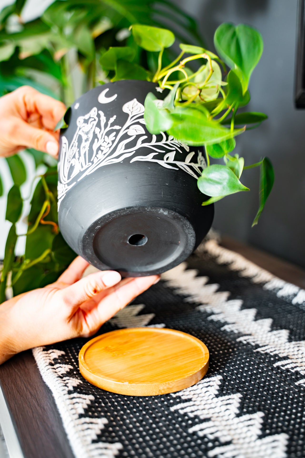 Blackout Terracotta Fox Planter | Sgraffito Styled, Nordic, Natural, Modern, Unique | Drainage Hole with Wooden Tray | 6"