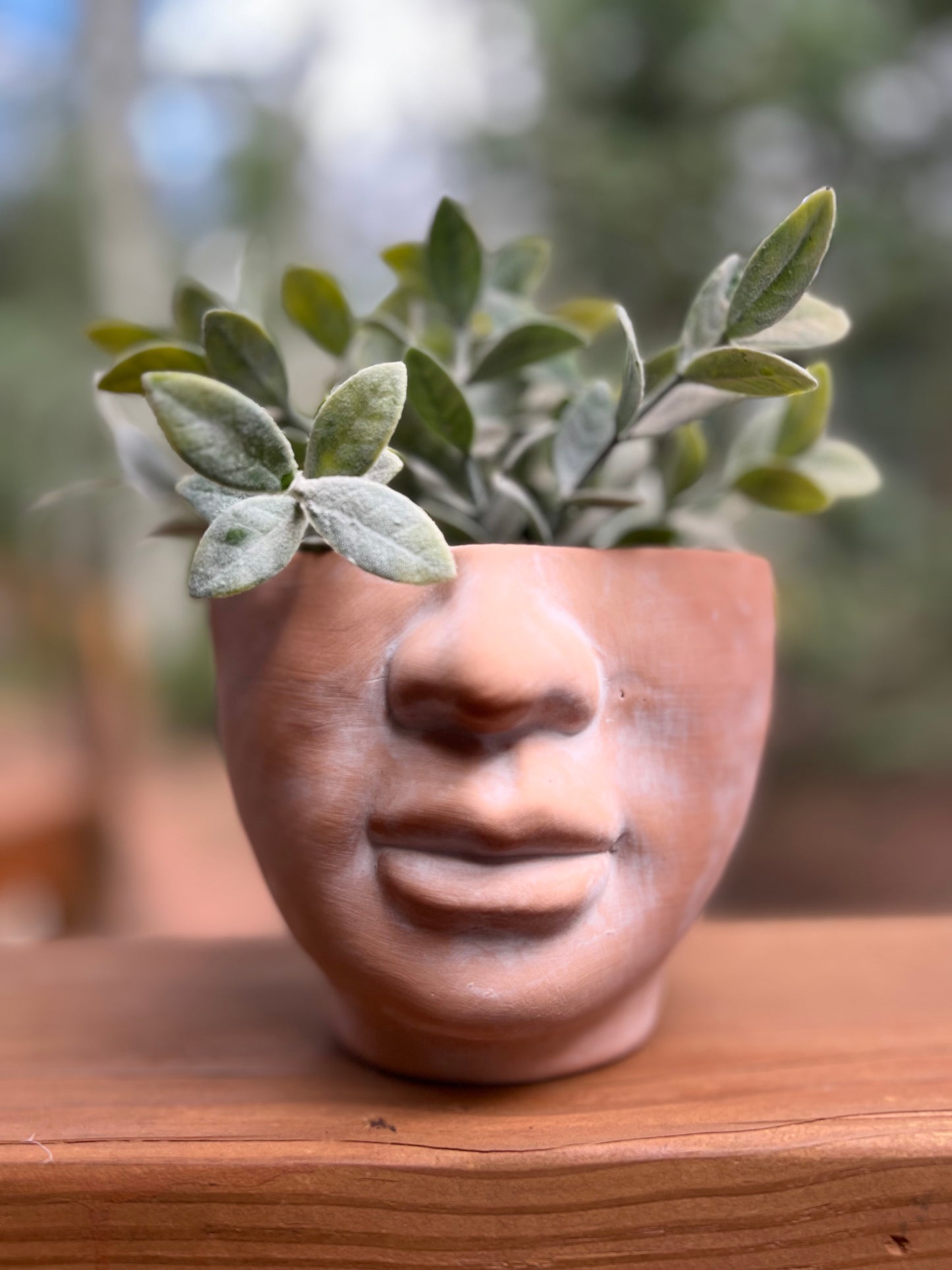 FACE IT - natural terracotta planter