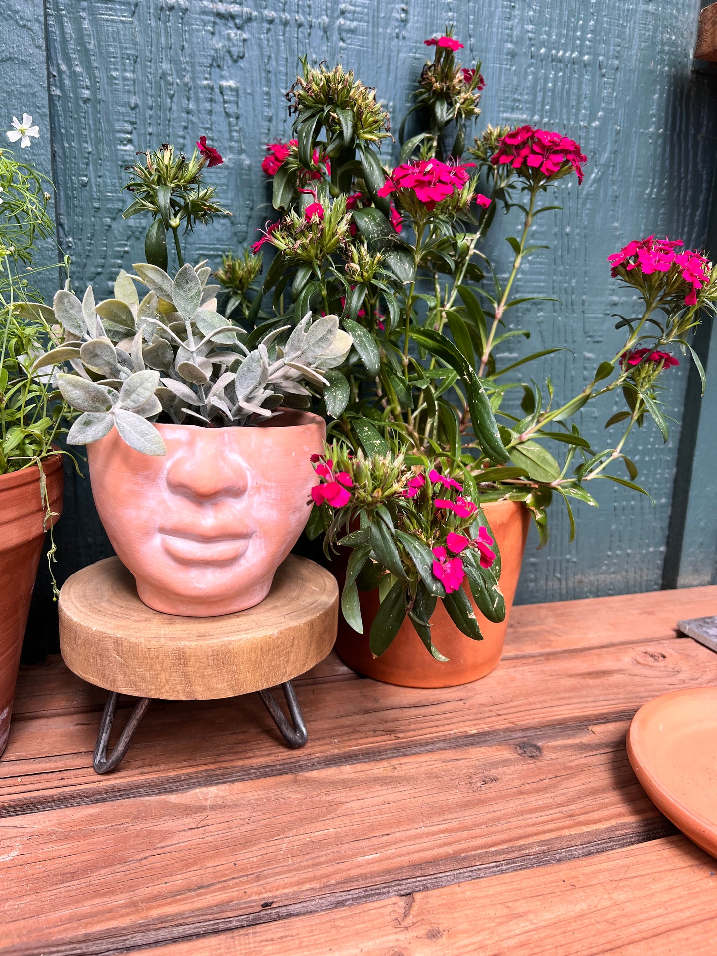 FACE IT - natural terracotta planter