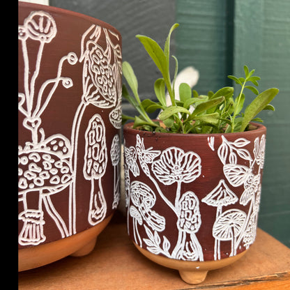 etched mushrooms terracotta planter