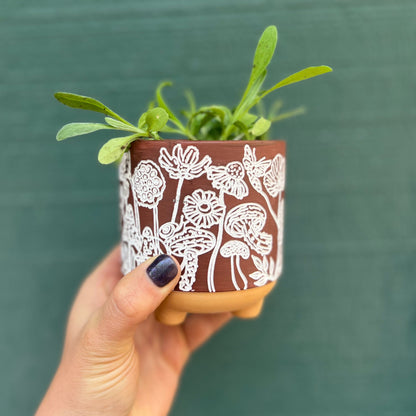 etched mushrooms terracotta planter