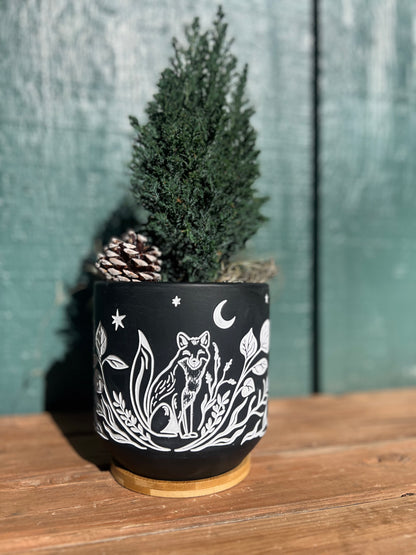 Blackout Terracotta Fox Planter | Sgraffito Styled, Nordic, Natural, Modern, Unique | Drainage Hole with Wooden Tray | 6"