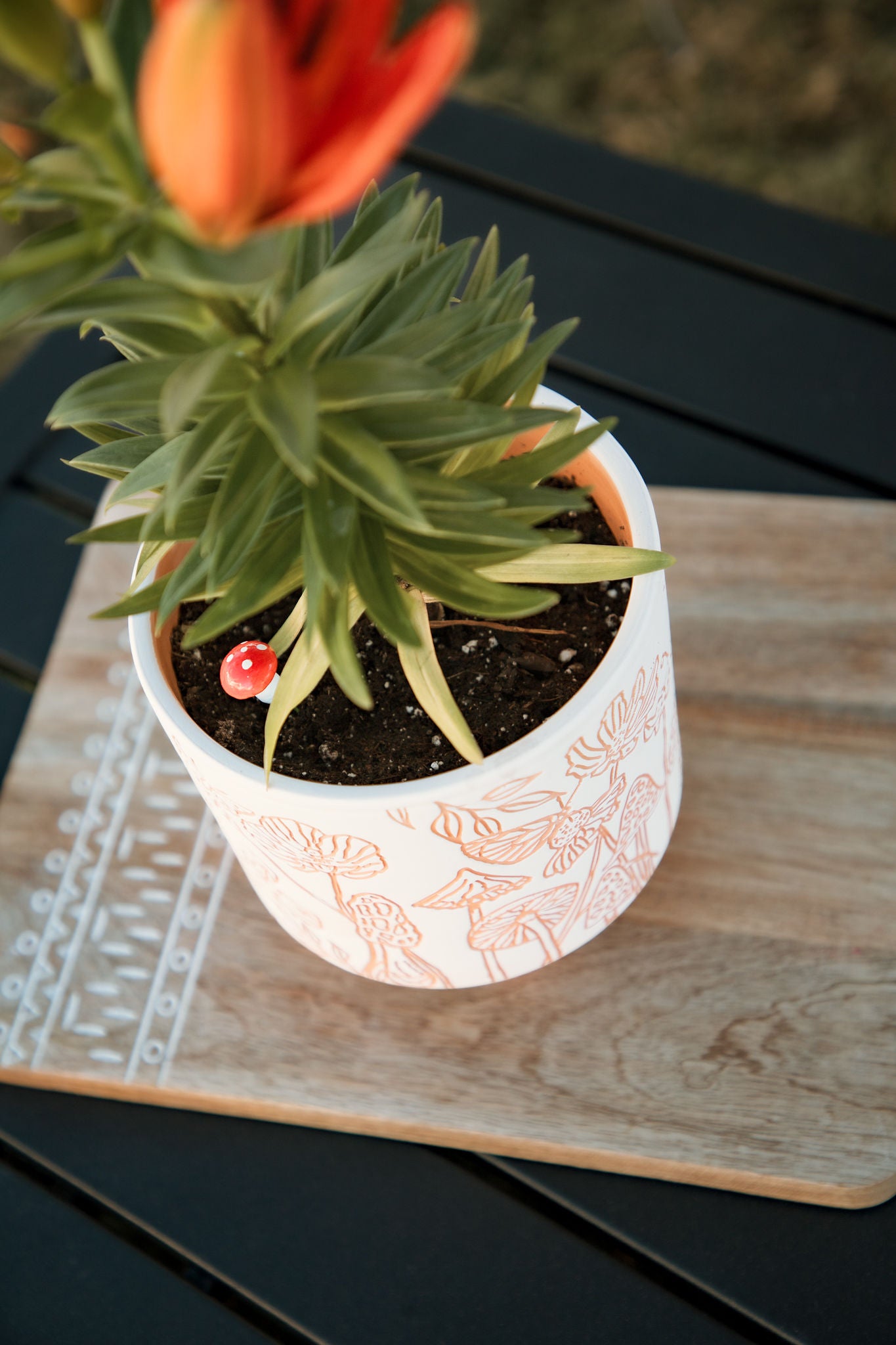 etched mushrooms terracotta planter