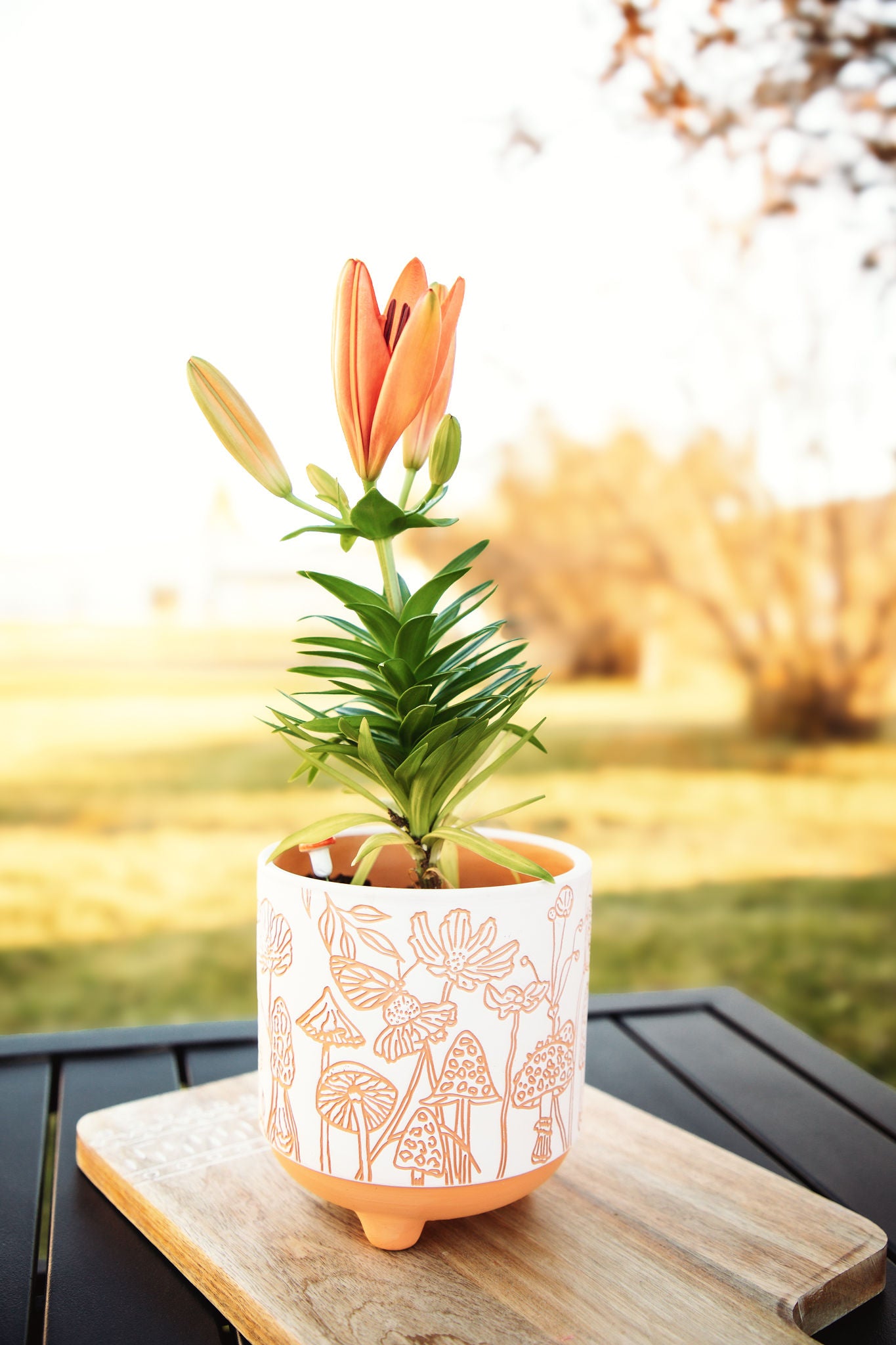 etched mushrooms terracotta planter