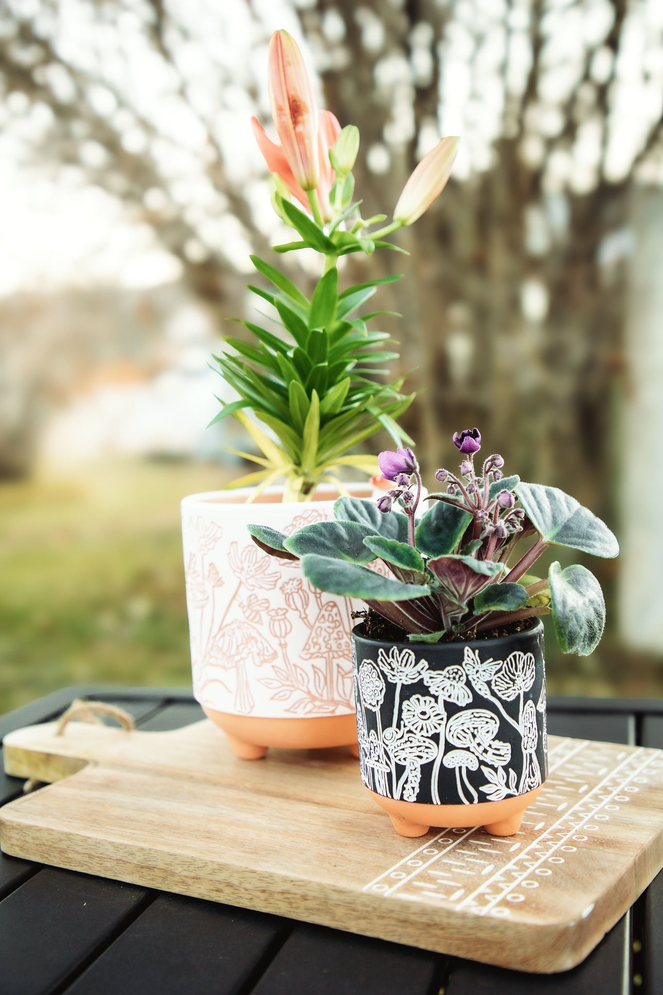 etched mushrooms terracotta planter