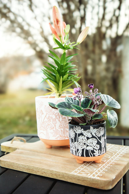 etched mushrooms terracotta planter