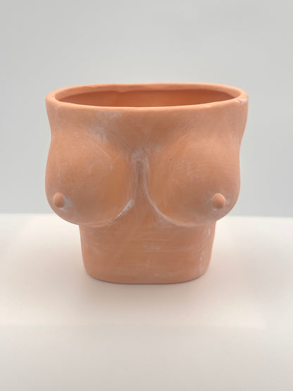 5" terracotta boobies planter