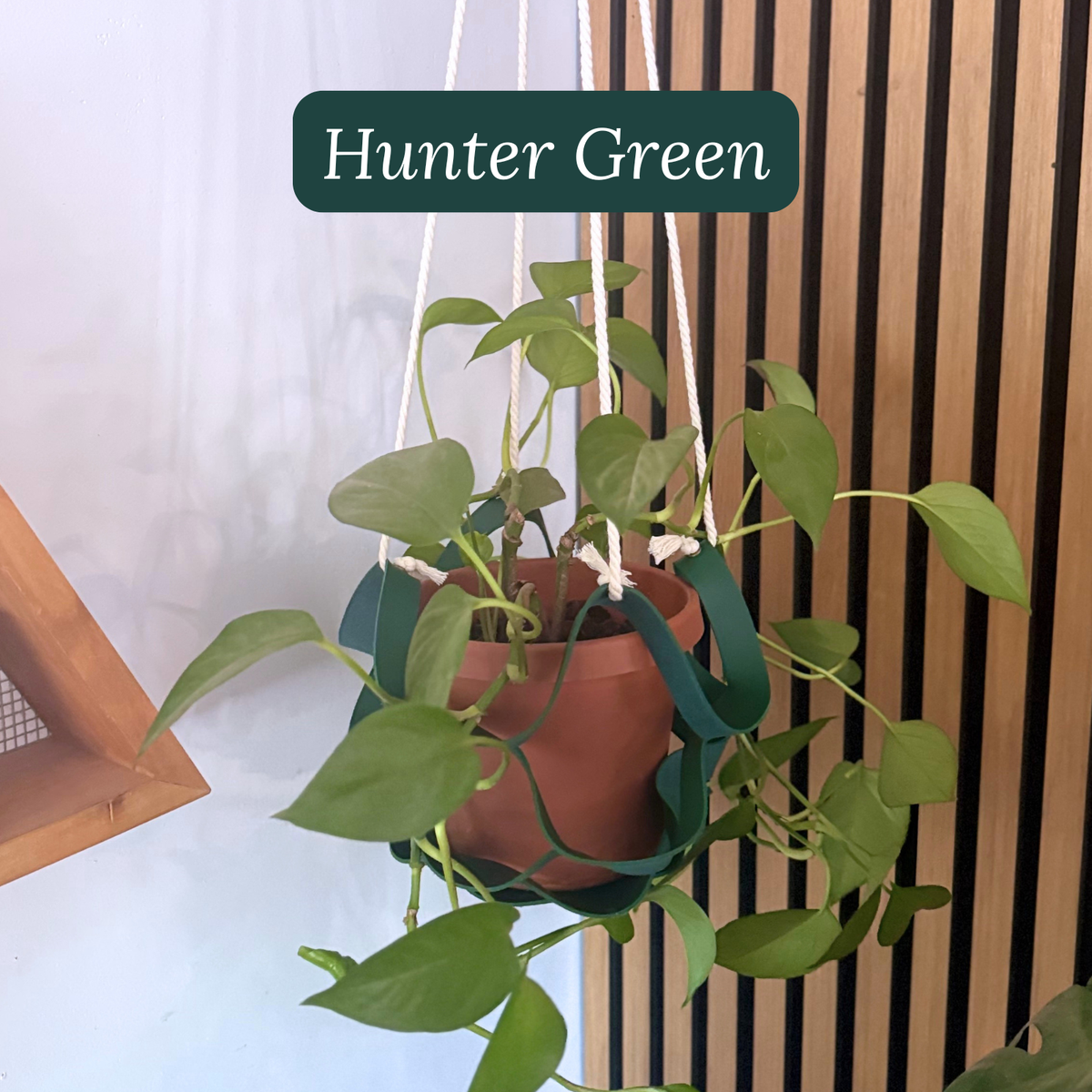 Vegan Leather Plant Hanger | Adjustable Hanging Planter Holder