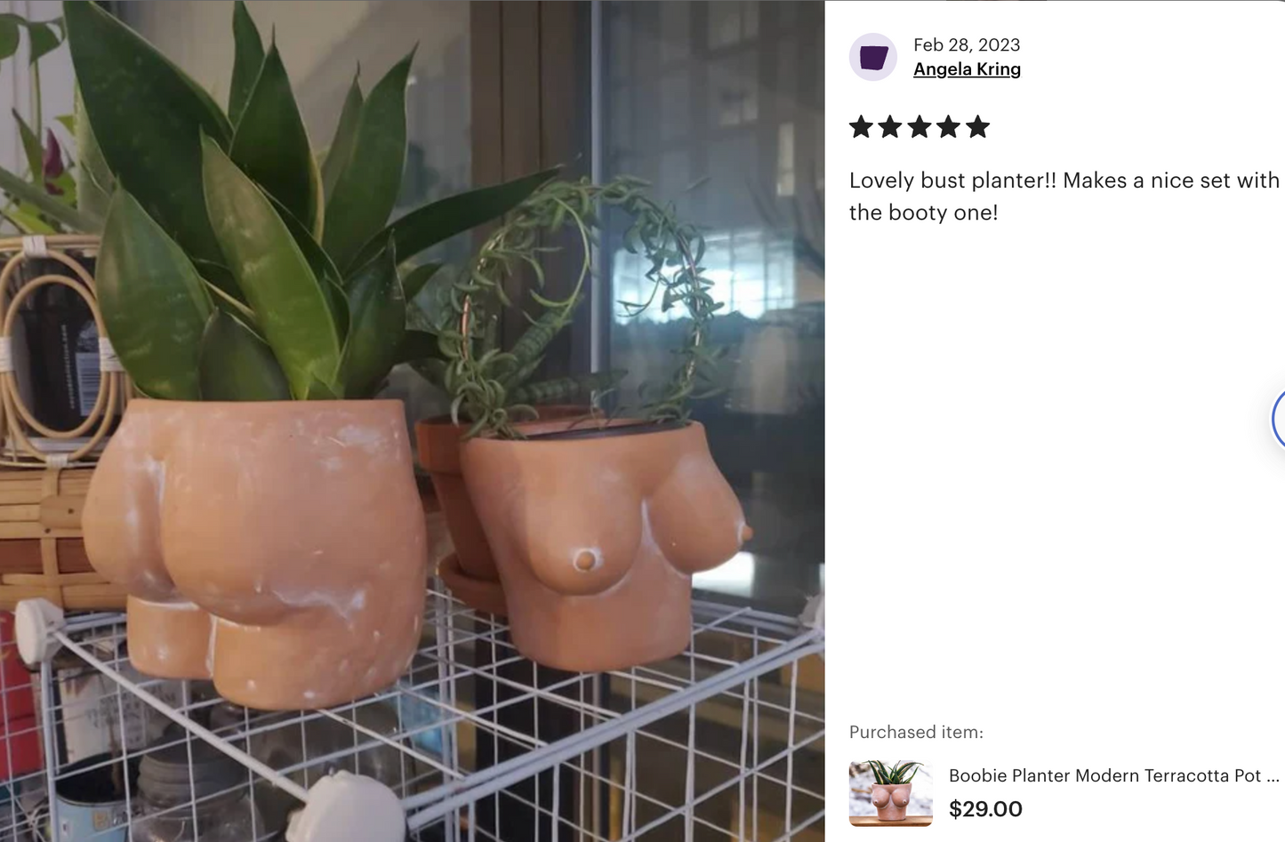 Butt & Boobies Duo Terracotta Planters