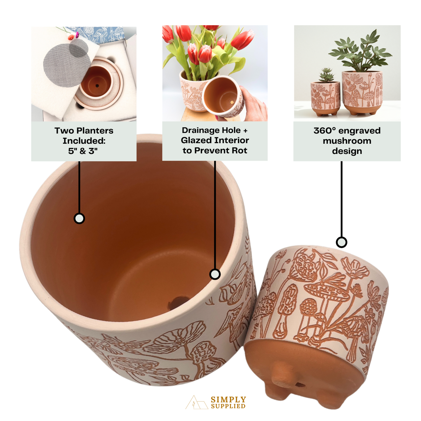 engraved mushrooms terracotta planter