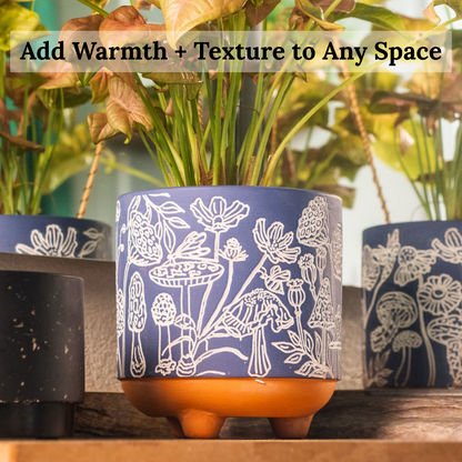 engraved mushrooms terracotta planter