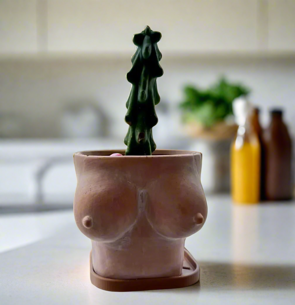 Ceramic planter shaped like a female torso with a succulent on a kitchen counter.